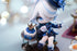 files/x_apex18349_c.jpg