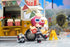 files/x_apex42210_e.jpg