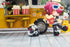 files/x_apex42210_g.jpg