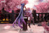files/x_apex42221_h.jpg