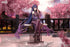files/x_apex42221_i.jpg