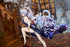 files/x_apex42253_e.jpg