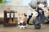 files/x_apex42260_h.jpg