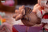 files/x_apex42313_b.jpg