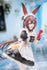 files/x_apex42320_c.jpg