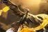 files/x_apex84617_e.jpg