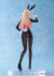 files/x_apx60225_d.jpg