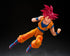 files/x_btn69784_d.jpg