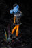 files/x_coco11223_h.jpg