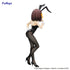 files/x_fryu50763_b.jpg
