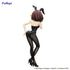 files/x_fryu50763_k.jpg