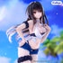 files/x_fryu51678_c.jpg