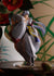 files/x_gsc66213_a.jpg