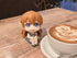 files/x_meho838743_f.jpg