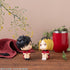 files/x_meho840654_c.jpg
