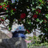 files/x_meho843839_e.jpg