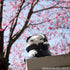 files/x_meho843846_d.jpg