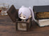 files/x_meho848995_f.jpg