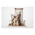 Genshin Impact - Ningguang - PVC Statue 1/7 (27 cm)