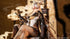 files/x_mhy53602_b.jpg