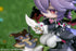 files/x_mth81592_k.jpg