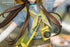 files/x_mth91173_g.jpg