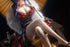 files/x_necr08016_t.jpg