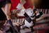 files/x_phat96861_l.jpg