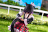 files/x_phat96878_g.jpg